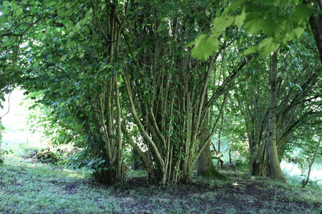 Du Coté de Lacoume Anla Esterno foto