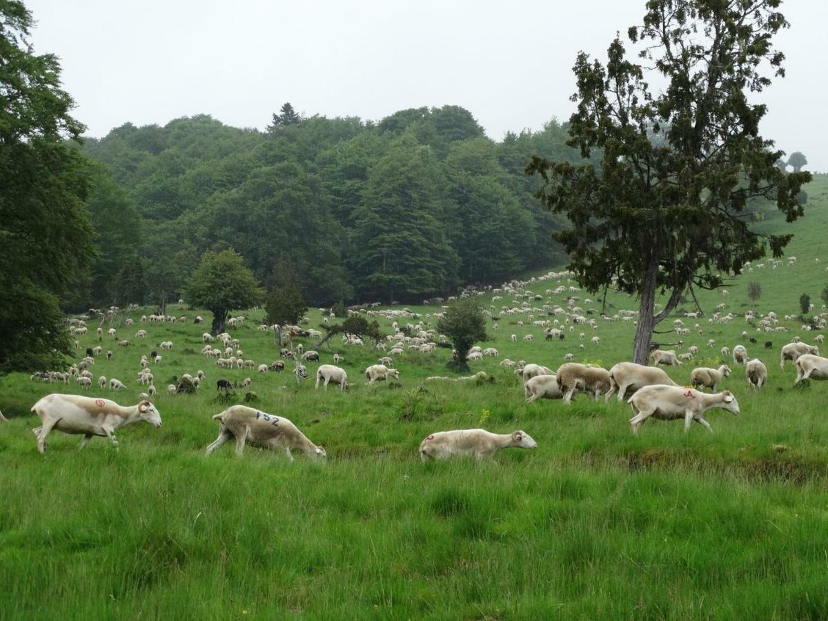 Du Coté de Lacoume Anla Esterno foto